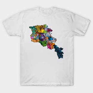 Spirograph Patterned Armenia Administrative Divisions Map T-Shirt